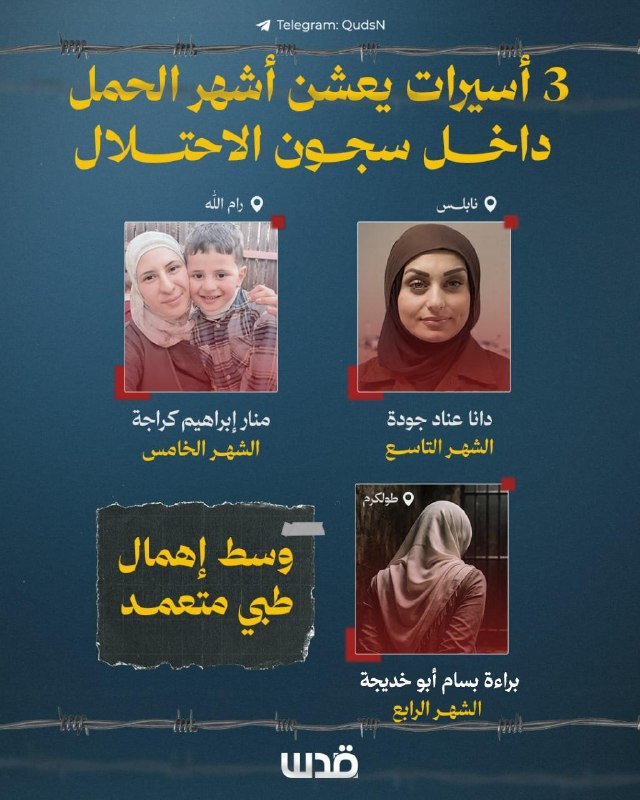 ثلاث أسيرات حوامل في السجون الإسرائيلية بظروف قاسية