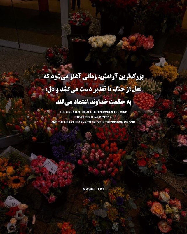 🍃💞حس"زیبا"💞🍃: بزرگ ترین آرامش زمانی آغاز می‌شود که عقل از جنگ با تقدیر دست می کشد و دل،به حکمت خداوند اعتماد می کند...