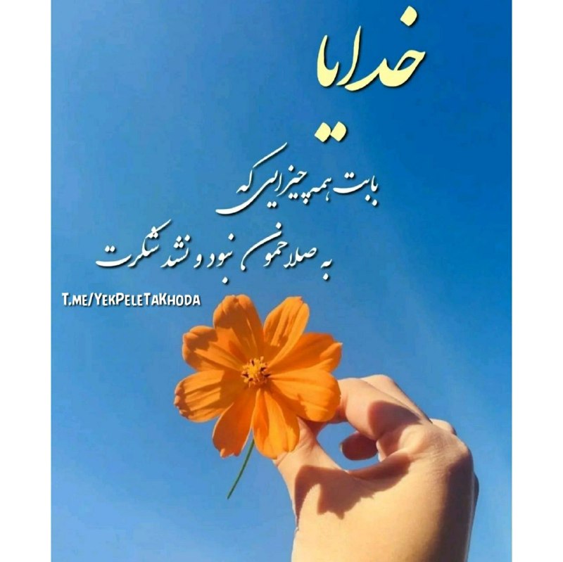 🌹چشم ب راه یوسف زهرا س🌹: 🌹 آخرین پنج شنبہمرداد ماهتون سرشار از اتفاقهای عالی 🌼🍃امیدوارم در این آخر هفتہزندگی به ڪامتونخوشبختی سرنوشتتونو سایہ عشق
