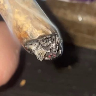 BX 🍫 🇲🇦🇧🇪