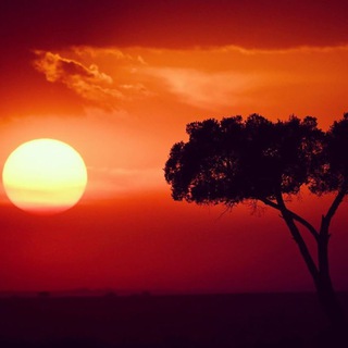 Travel to kenya Telegram Group Link