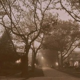 𝘋𝘳.𝘞𝘩𝘪𝘵𝘦