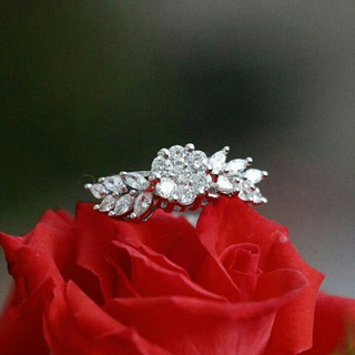 گالری زیبا74 Telegram Group Link