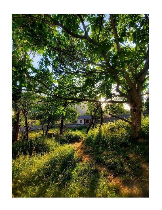 💬 بابل نیوز: صبح بخیر بابل 🌤روستای زیبای لههعکس : منیره داداش پورکانال #بابل_نیوز بَله :🆔️ https://ble.ir/BabolNews_irروبیکا :🆔 https