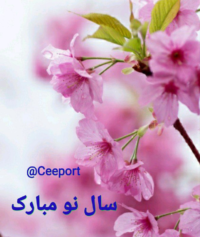 پرسش و پاسخهای هواوپونوپونو: سپاسگزارمدوستت دارمآرامش ِ "نوروز" 🌸♥️#رسول_سلیمی @CEEPORT🔥