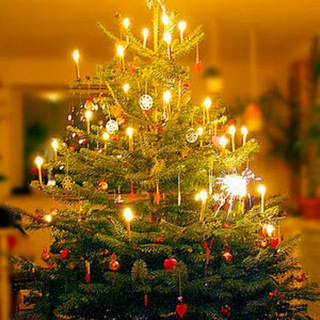 north dakota club Telegram Group Link