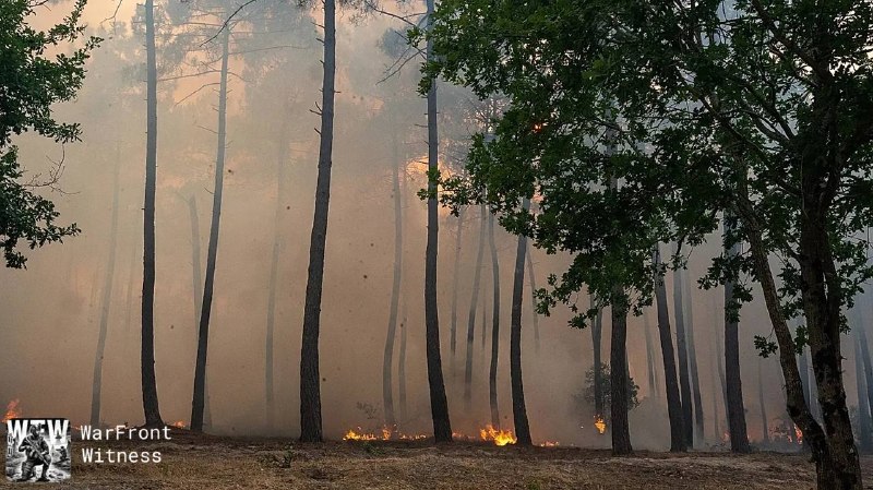 ️🇫🇷🇪🇸 Euronews: הרשויות הצרפתיות הורו על פינוי שלושה פרברים של בורדו מכיוון ששריפה "חסרת תקדים" ממשיכה…