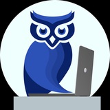 IT/AI Owl (Сергей Спевак)