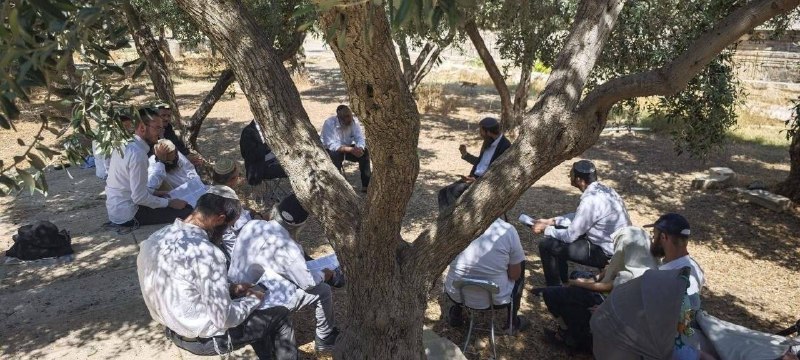مستوطنون يقتحمون الأقصى ويؤدون طقوساً تلمودية