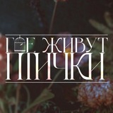 «Где живут птички?» 🪶