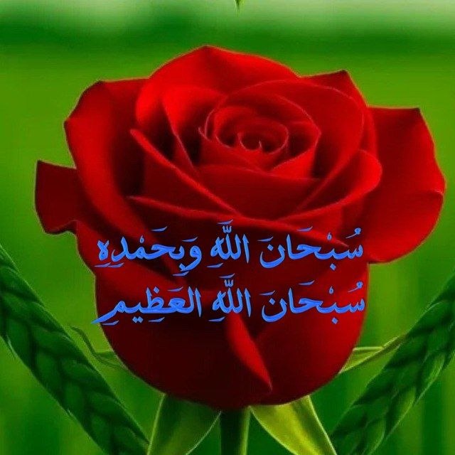 جمع ایمانی: 🍃🌸🍃🌸🍃🌸🍃🌸🍃https://t.me/Jame-Imani