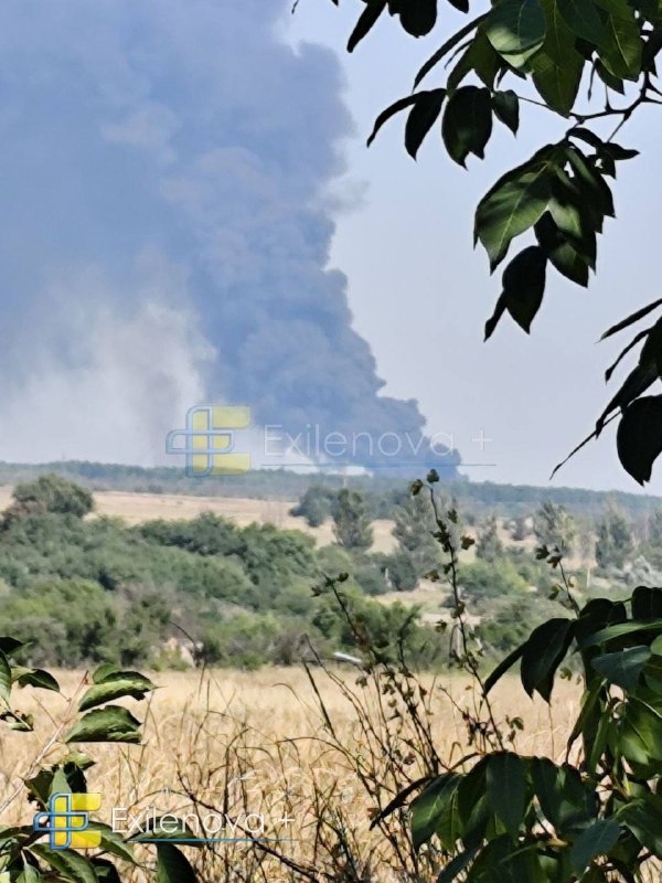 Ukraine's military intelligence says North Korea has sent 8,500 troops to Russia, including 400 drone operators and 1,000 engineers and deminers, with most deployed in Kursk region. The personnel are expected to support rear-area tasks and free Russian troops for frontline combat. Intelligence says Putin may seek up to 50,000 more North Korean troops, while Pyongyang wants an S-400 system and has already received a Pantsir-S1 launcher.
