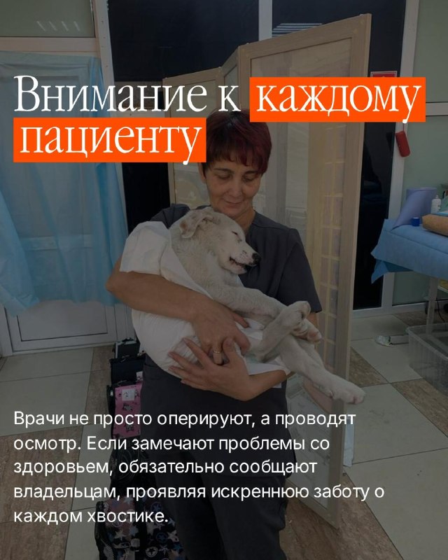 @help_animal41 posted a photo