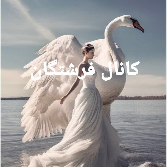 ازدواج همسریابی دائم رویایی: کانال معرفی #خانمها 👱‍♀ از همه شهرهابه کانال فرشتگان بپیوندید. (ازدواج‌دایم)👇👇👇👇👇https://t.me/+3_M1N1GxiXM2MmE0