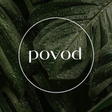Povod