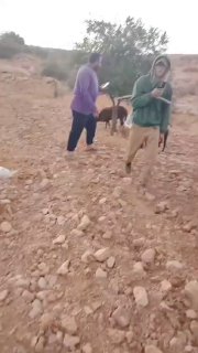 A settler attacks and sprays pepper spray in front of Farid al Hammada, east of Lithuania, south of Hebron.