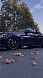 https://t.me/bmw_mpower_club