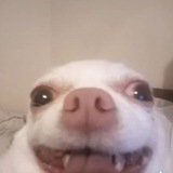 wiowio