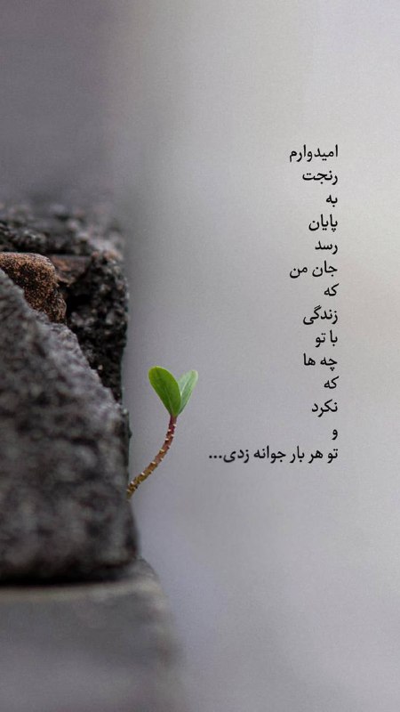 🤍 راه آسمان 🩵: امیدوارم رنجت به پایان رسد جان من که زندگی باتو چه ها که نکرد و تو هربار جوانه زدی…..