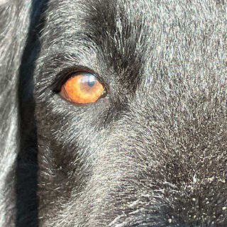 аляска сервер Chat Telegram Group Link