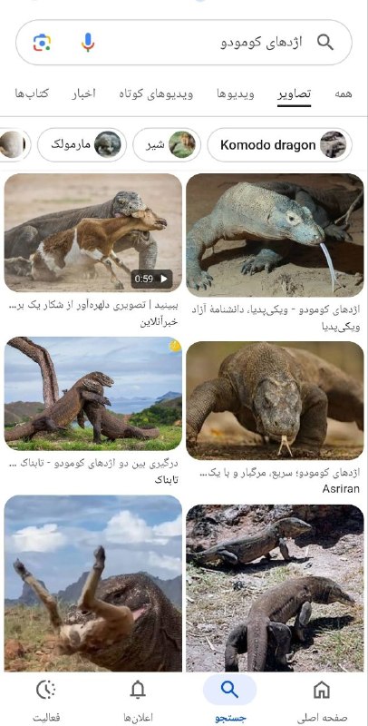 یِ دانش آموز: 🔴دایناسور حیاط ما 🎓『 @Ye_Student 』🔴در واقعیت تنها دایناسور زنده در جهان ؛ اژدهای کومودو از تیرهی بزمجهایانه و طول آن ت