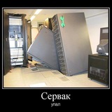 сынсобаки77