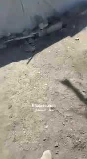 ספיר ליפקין