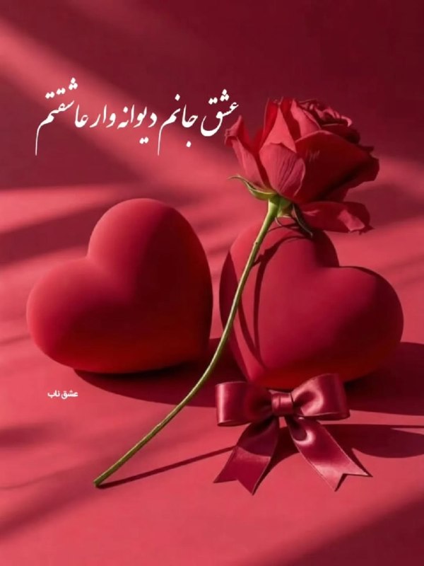 𖣘𖣘 سماع 𖣘𖣘: دیــ..ــوانه وار دوستت دارم🍃✨🍃