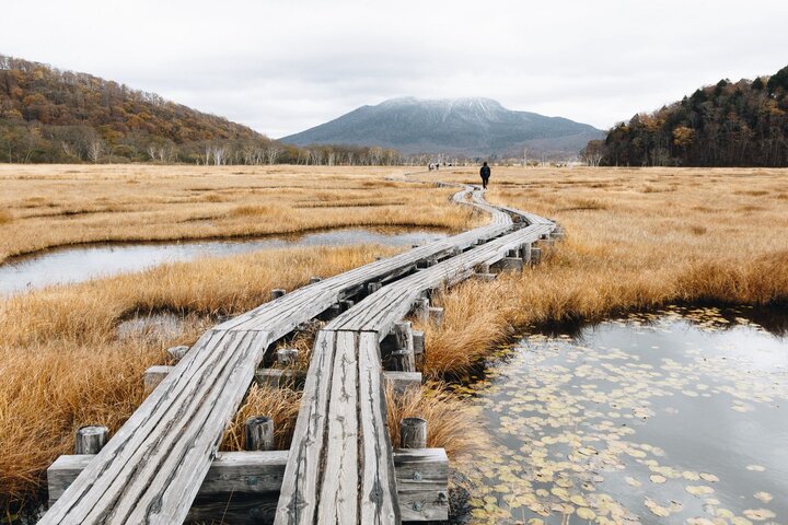 人間與天堂的交界ー群馬尾瀬濕原秋之篇章（最完整尾瀨交通攻略）