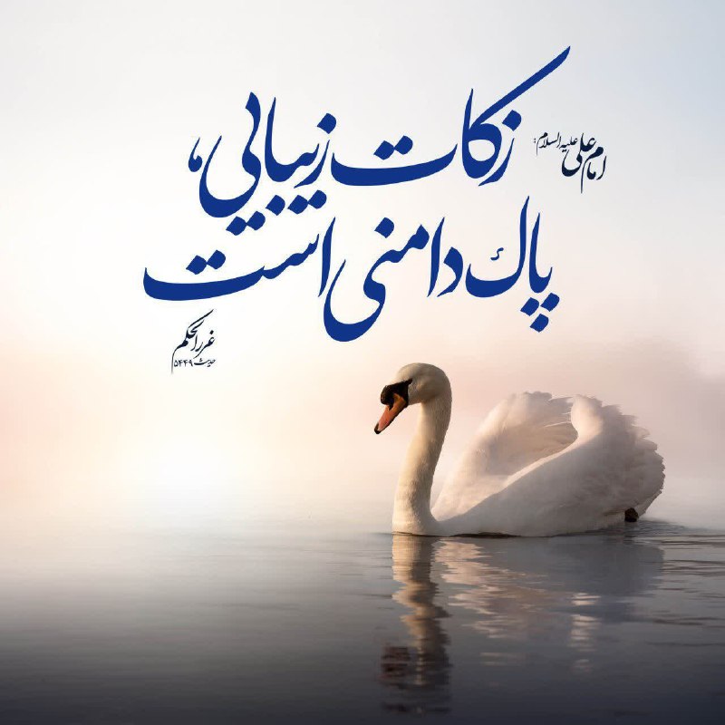 پایگاه خبری الف: ﷽ ✨یا حَیّ یا قَیّوم✨🌹سلام بر همراهان عزیز 🌹 💫 چهارشنبه 💫☀️ ۲۸ مرداد ۱۴۰۵🌙 ۰۶ ربیعالاول ۱۴۴۷🎄 ۱۹ آگوست ۲۰۲۶🌺 حدیث روزا