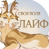 .𖥔 ݁ ˖ Своя воля | лайф-канал