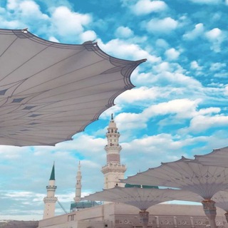 Telegram profile photo for عامر بهجت (النتاج)