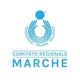 Fipav Marche