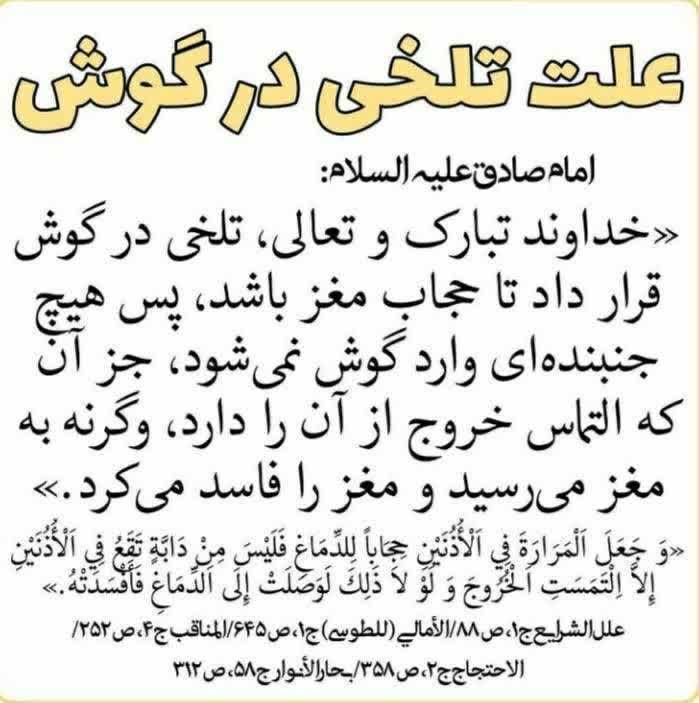 مجله طب و تمدن اسلامی: ⁉️چرا گوش تلخه!