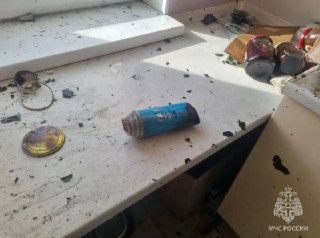 Кот взорвал кухню в квартире в подмосковном Одинцове. Он включил плиту, рядом с которой хозяева оставили газовый баллон.«Предварительно установлено, что туристический газовый баллон объемом 200 мл., находился в непосредственной близости к электроплите, что