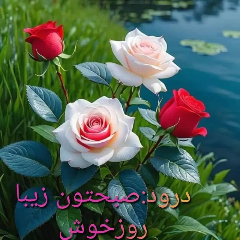کوروش واش(کانال مختص استانهای مازندران و گیلان و گلستان ): @dsreeytuytr74🫧ان شاءالله امـروز 🍃🌸یه خبـر خوب 🫧یه اتفاق بی نظیر🍃🌸یه معجـزه🫧یه دلخوشی🍃🌸یه کار خوب🫧یه لب خندون و🍃🌸یه زندگ