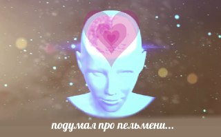 Исследователи нашли, где в мозге живет любовь: https://lentach.media/R6XL1