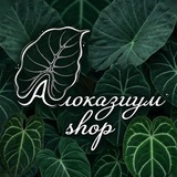 АлокаShop