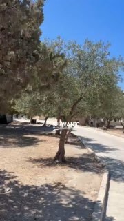 מחצרות מסגד אל-אקצא המבורך לפני שעה קלה