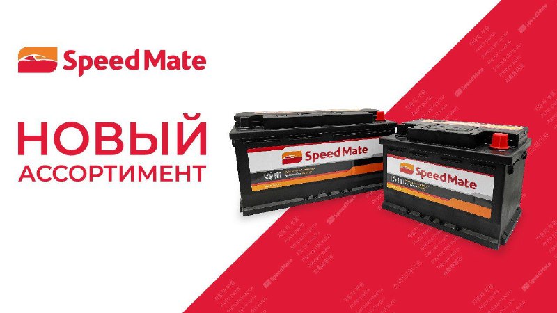 Аккумуляторы Speedmate 1