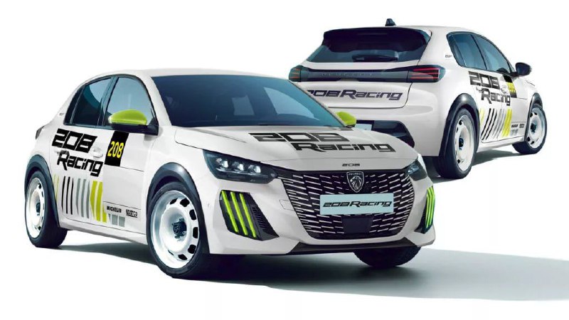 Новый Peugeot 208 получил версию для гоночной серии FR6 Trophy 1