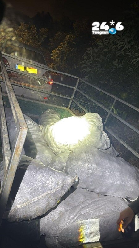 🇮🇱 4.5 tons of avocados were confiscated near Kfar Chabad. Soldiers and volunteers of the Border Guard confiscated about 4.5 tons of avocados. A suspect in the theft of the agricultural produce was arrested.