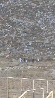 مستوطنون يعتدون على أراضٍ فلسطينية قرب برقا شرق رام الله