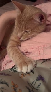 Доброй ночи всем 🌙