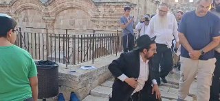 דחוף: מתנחלים מבצעים מה שנקרא "השתטחות אפית" בחצרות אל-אקצא