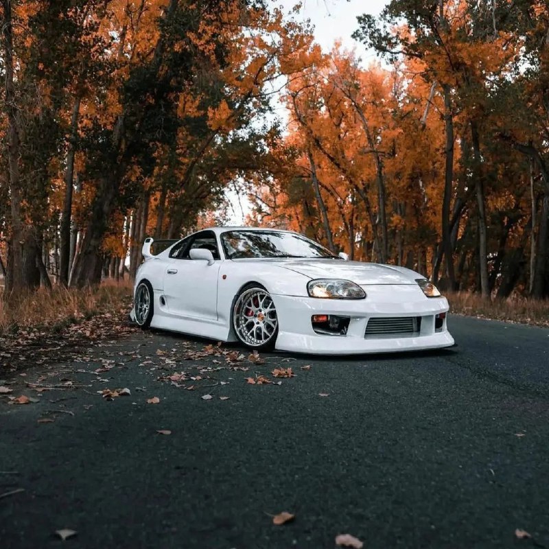 Toyota Supra 5