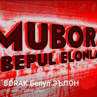 MUBORAK ELONLARI bipul 24 Soat