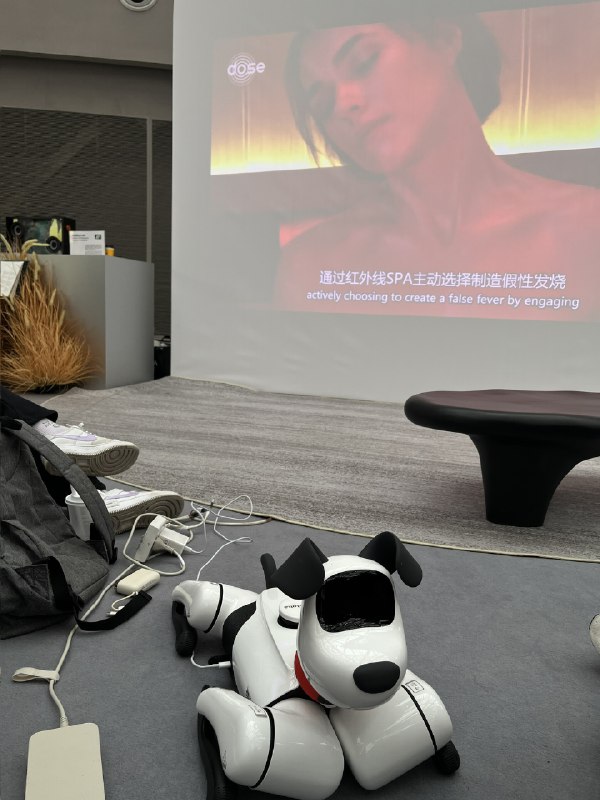 家长和小孩最多，主要还是看小朋友们在玩各种硬件、机器宠物和 3D 打印