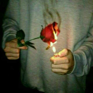 🌹😘❤️SἝVƓἿ Vᾋ DὋ'ṨҬĿἿḰ ❤️😘🌹 - ⁽🌷✨₎ֆ Telegram Group Link