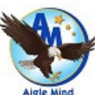 Aigle Mind Coin
